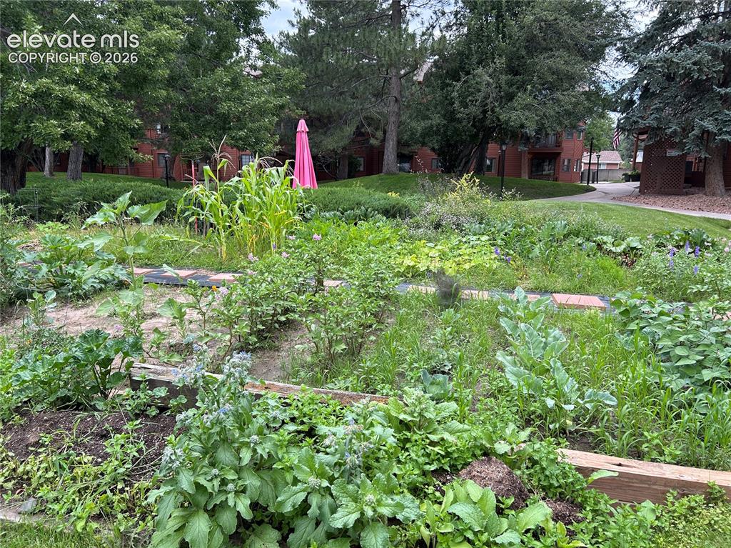 Image 19 of 29: Beautiful community garden