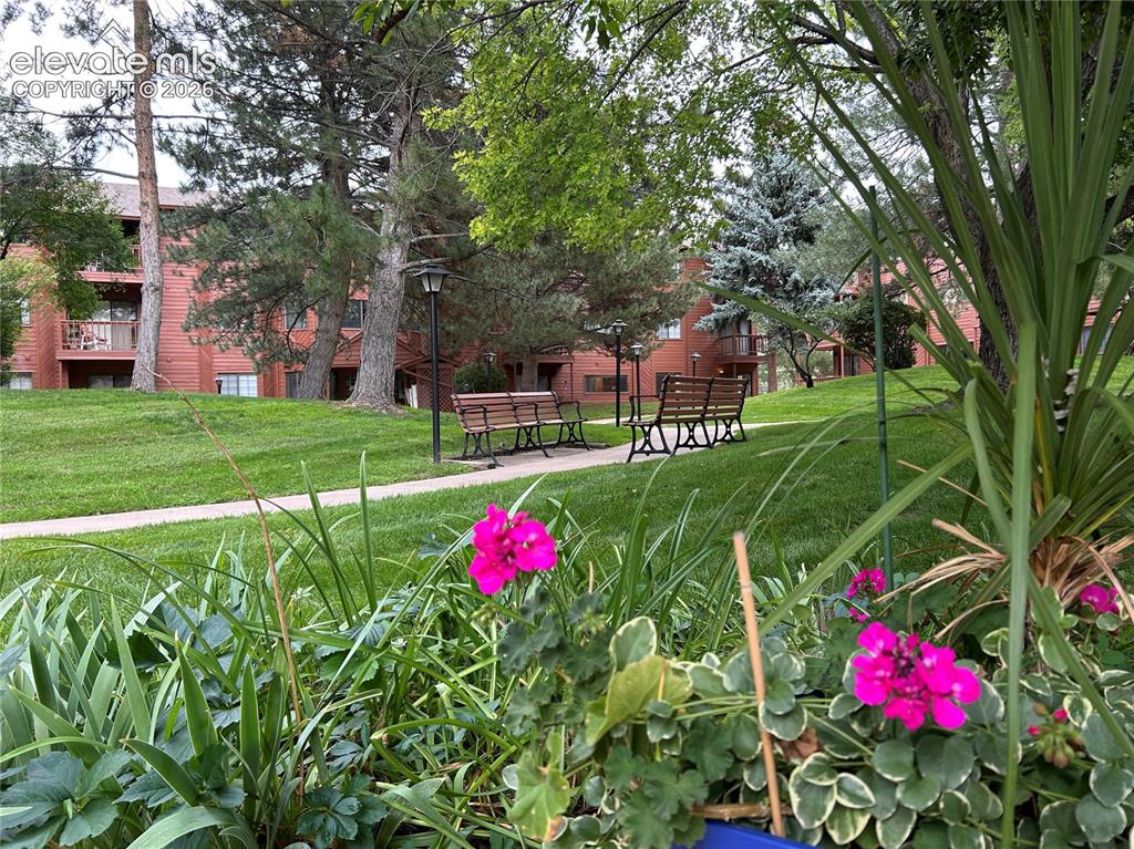Image 20 of 29: Beautiful community garden
