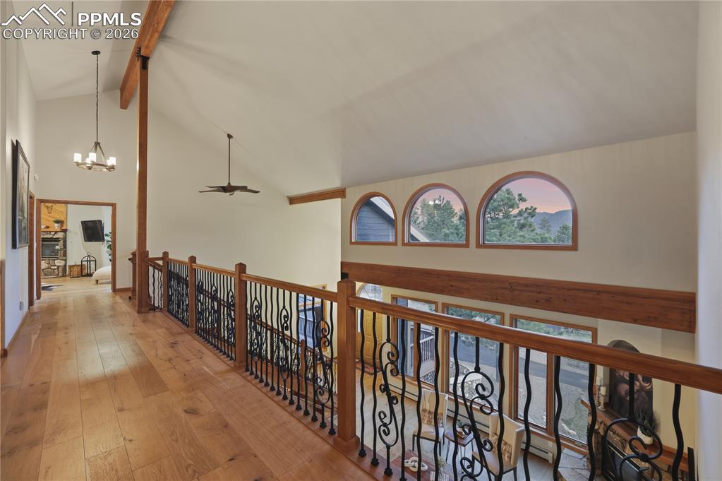 Image 30 of 50: Other