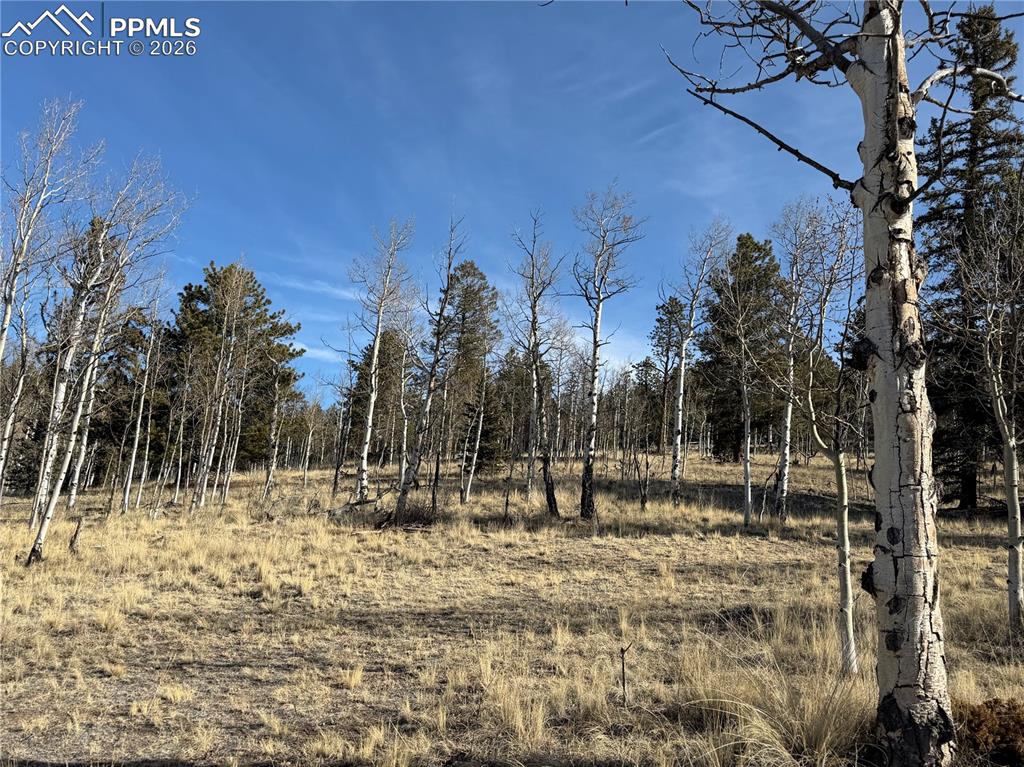 Image 10 of 21: Other