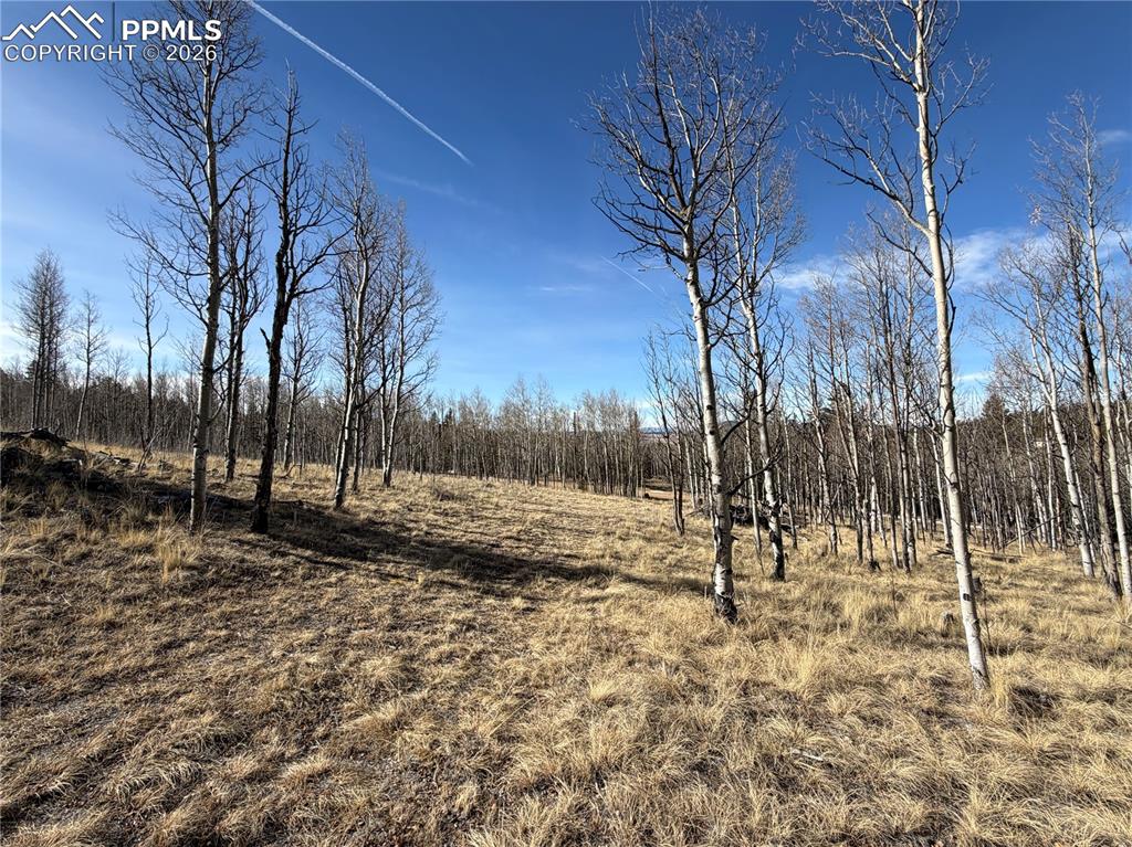 Image 11 of 21: Other