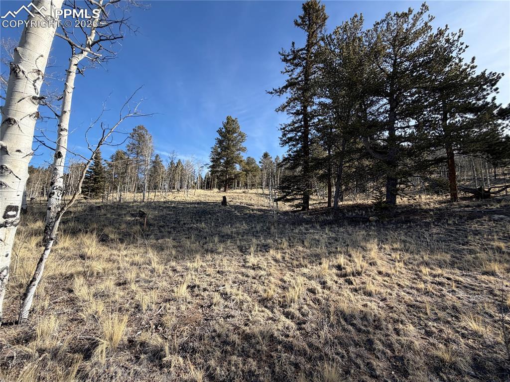 Image 12 of 21: Yard