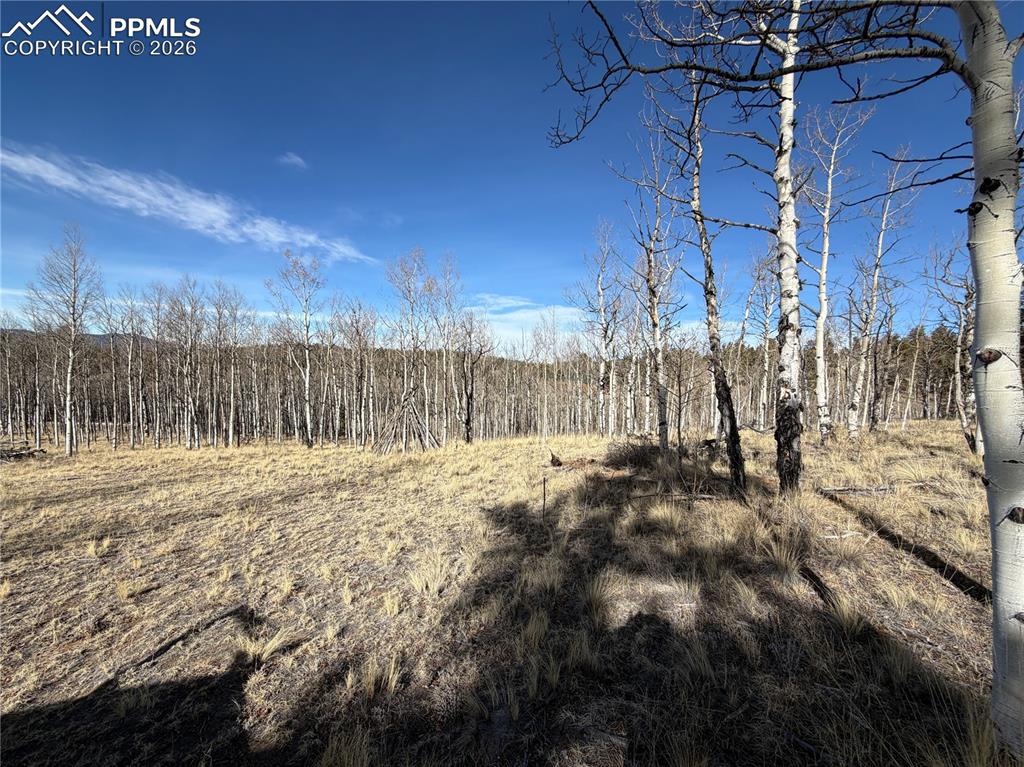 Image 13 of 21: Other