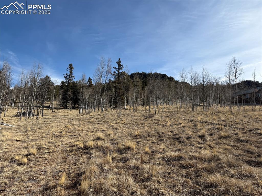 Image 15 of 21: Other