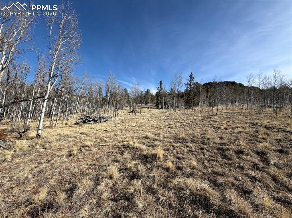 Image 16 of 21: Other