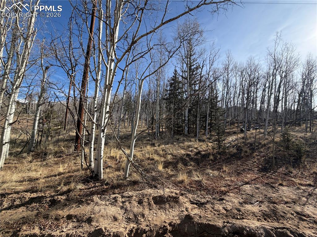 Image 17 of 21: Other