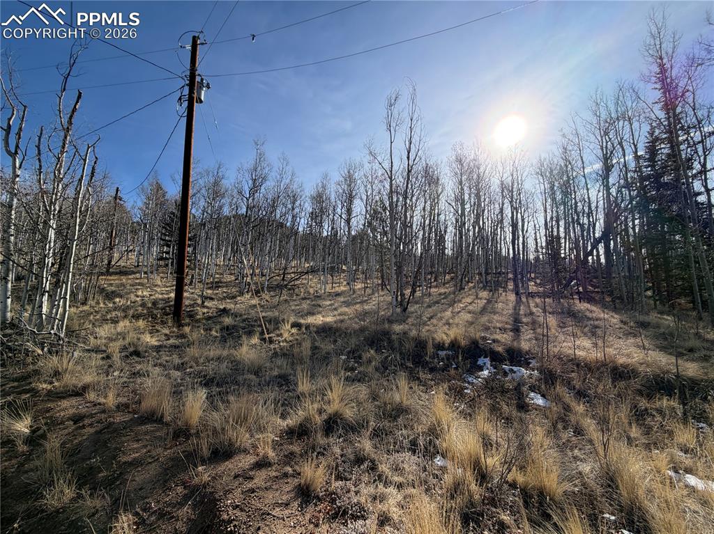 Image 18 of 21: Other