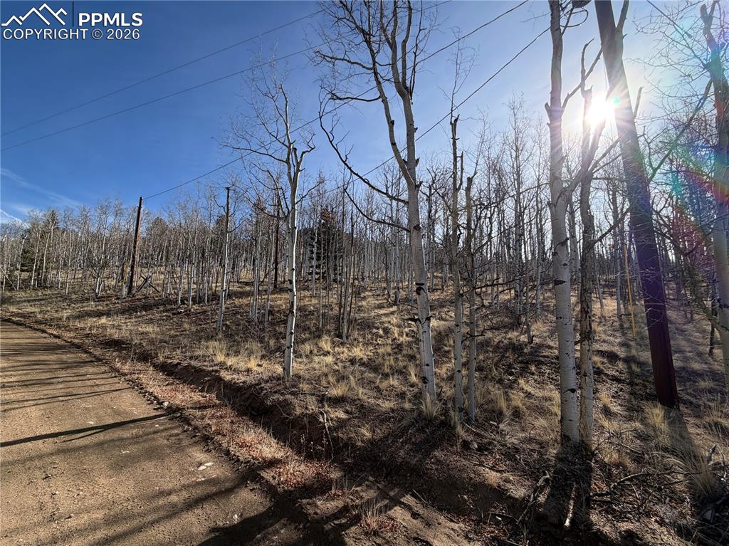 Image 19 of 21: Community