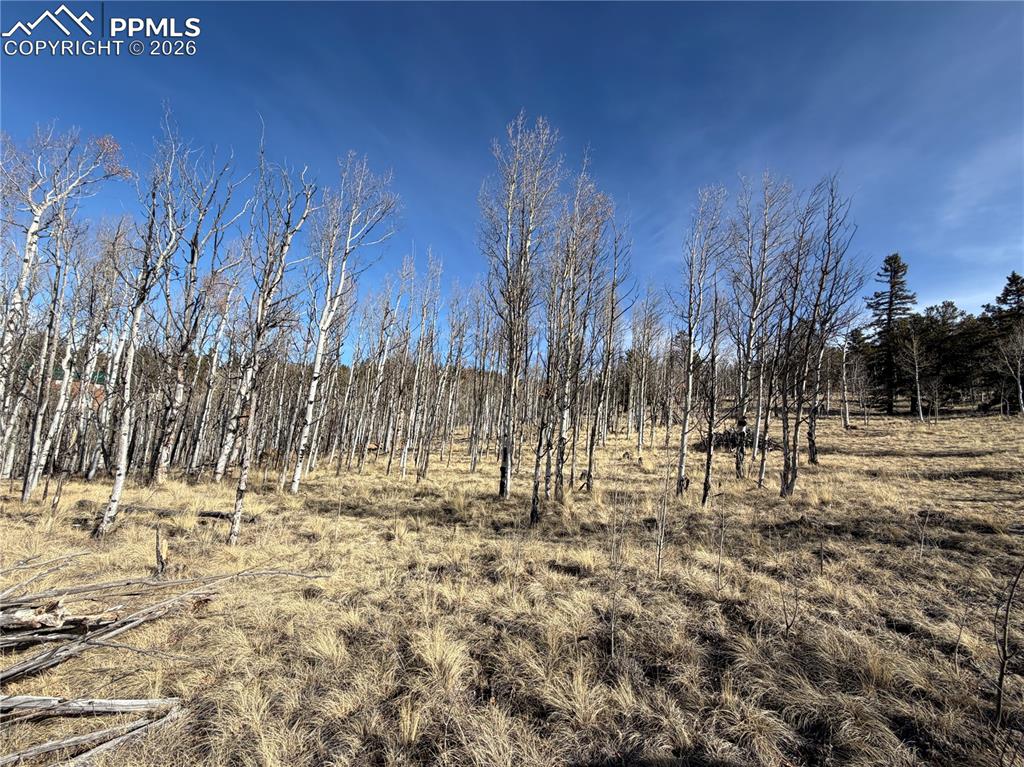 Image 2 of 21: Other