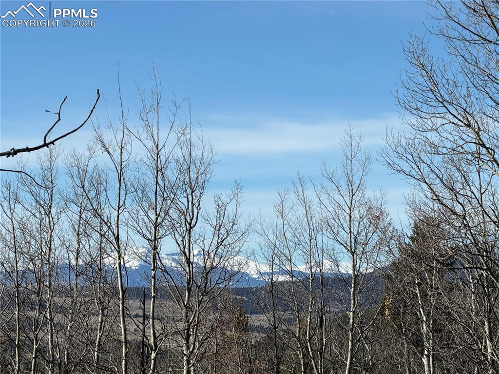 Image 20 of 21: View