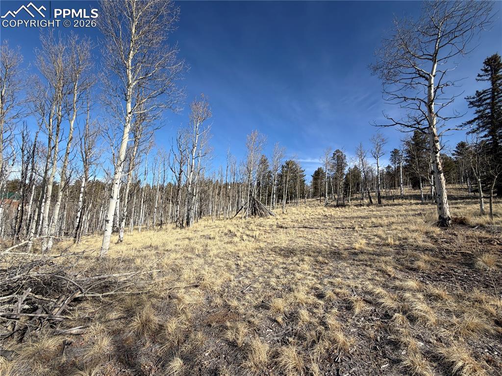 Image 4 of 21: Other