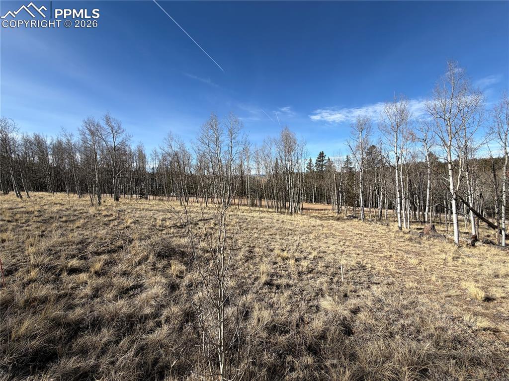 Image 5 of 21: Other