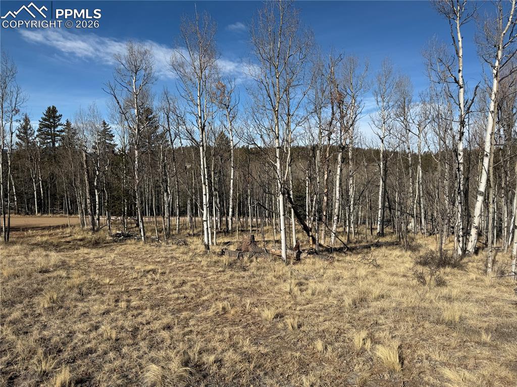 Image 6 of 21: Other