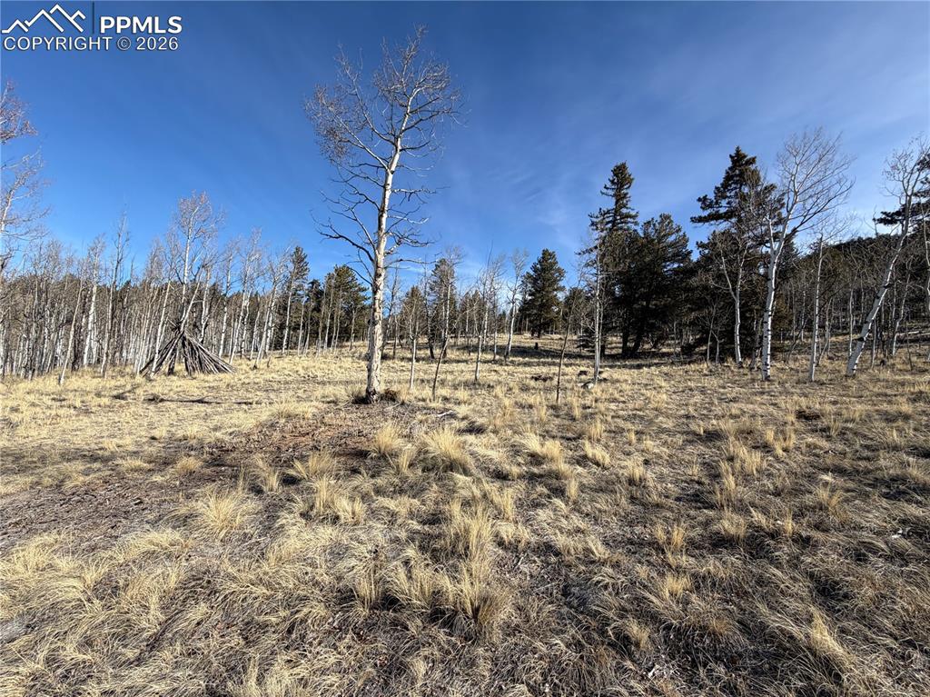 Image 8 of 21: Other