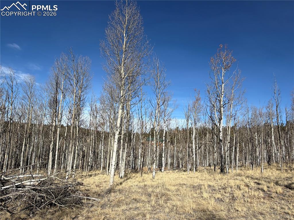 Image 9 of 21: Other