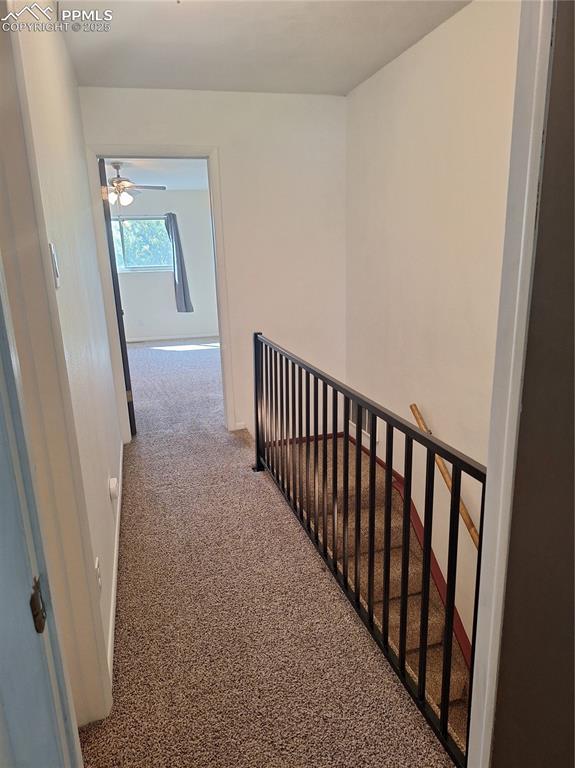 Image 28 of 28: Other