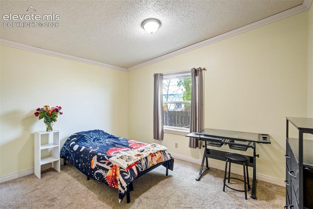 Image 23 of 50: Spacious third bedroom with carpet flooring and large window.