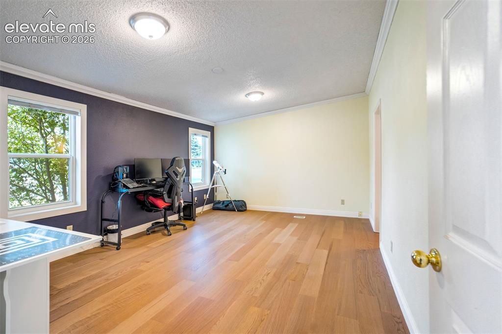 Image 28 of 50: Spacious primary bedroom with vinyl flooring and abundant natural light.