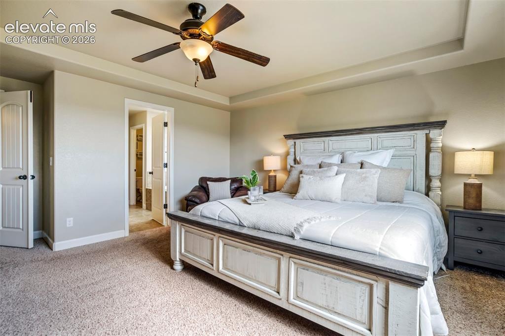 Image 21 of 47: Trace ceilings & a ceiling fan. 