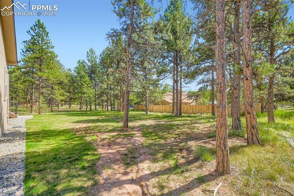 Image 25 of 27: Yard