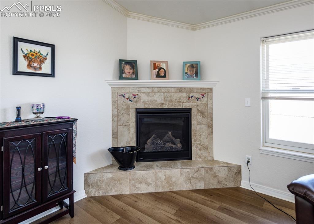 Image 14 of 38: gas fireplace in living room