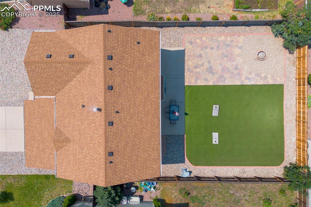 Image 43 of 44: A bird