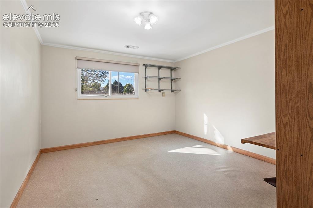 Image 32 of 50: Carpeted room featuring a single window, crown molding, flush-mount ceiling