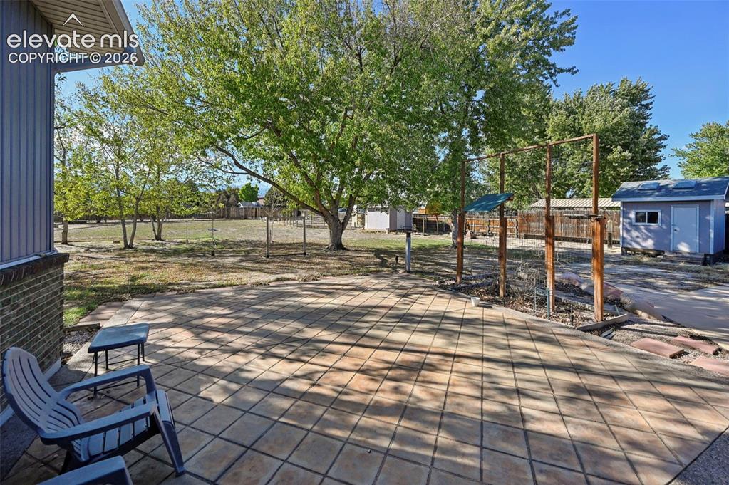 Image 39 of 50: Expansive backyard featuring a tiled patio, mature trees, and a utility she