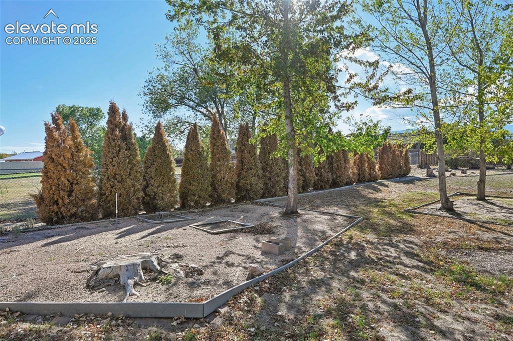 Image 43 of 50: Defined outdoor space featuring mature trees and a row of evergreen shrubs