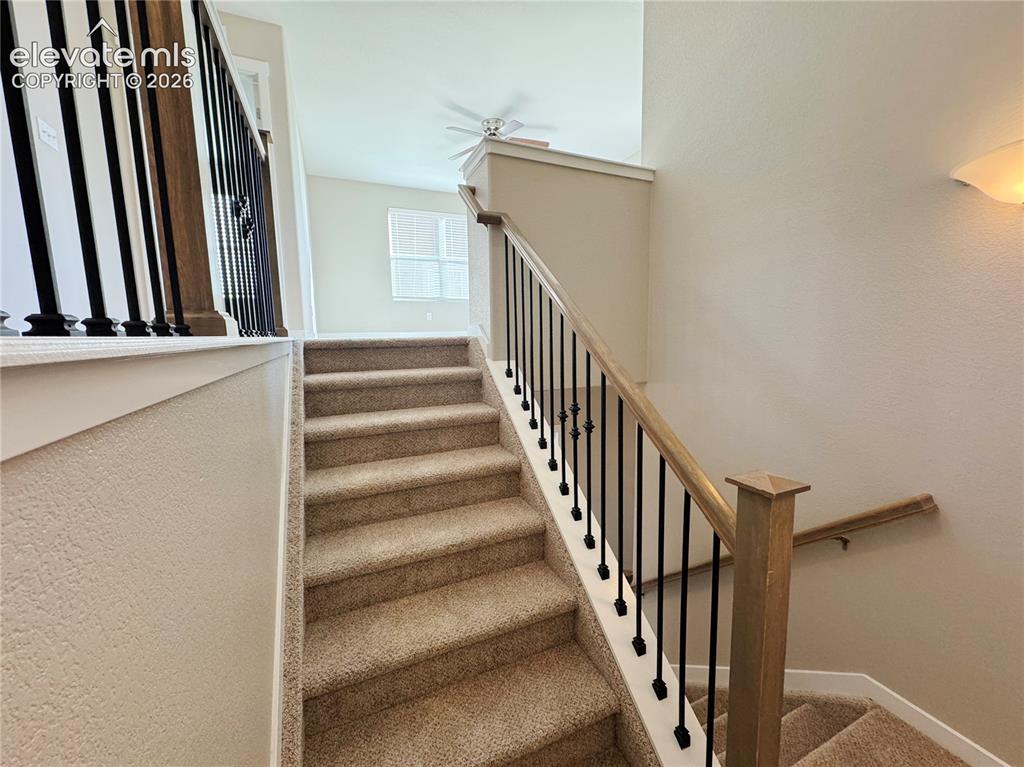Image 18 of 42: Staircase featuring neutral carpeting, a wooden handrail, and matte black m