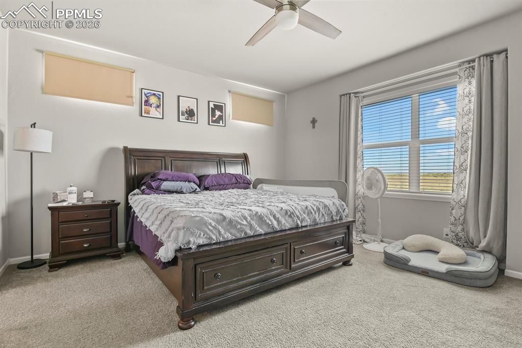 Image 17 of 48: Carpeted bedroom featuring a large window with blinds and curtains, a ceili