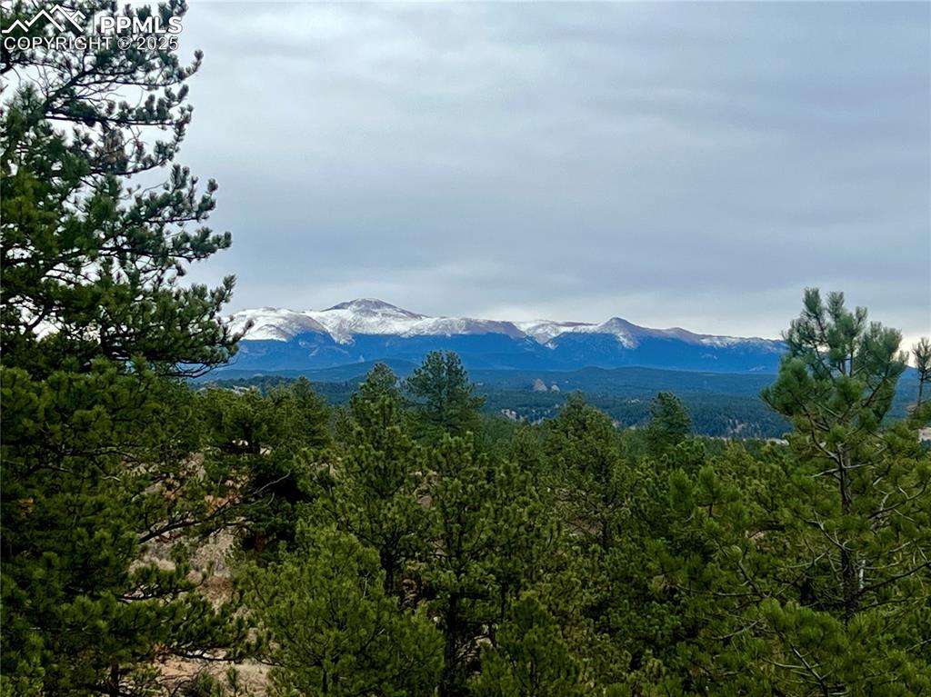 Image 33 of 50: View