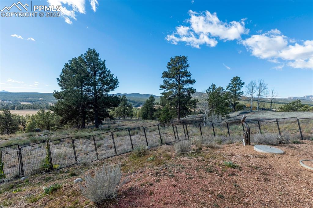 Image 35 of 50: Yard