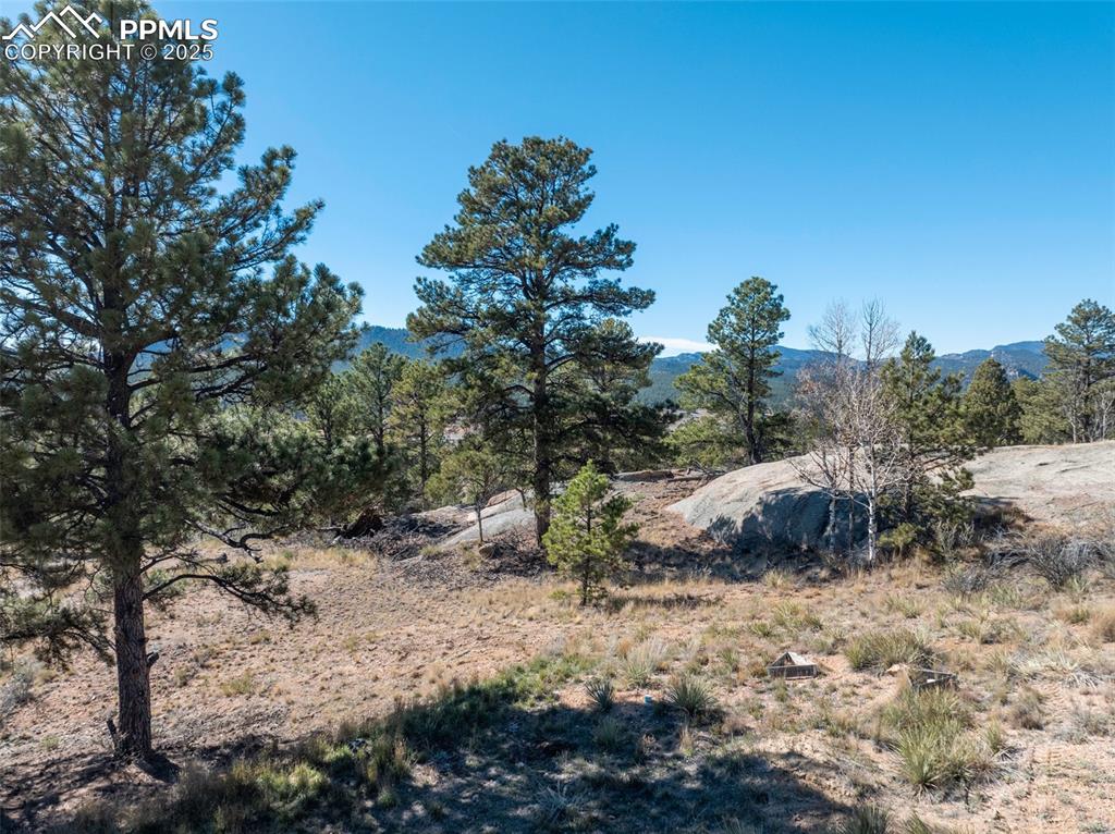 Image 37 of 50: Yard