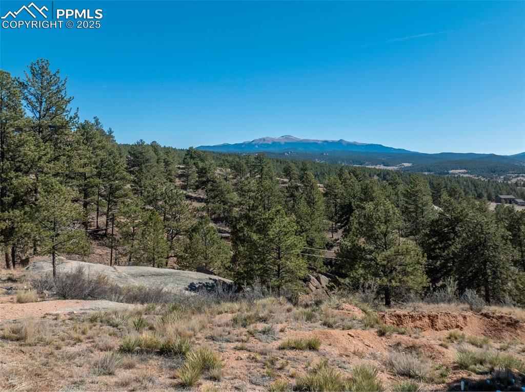 Image 38 of 50: View