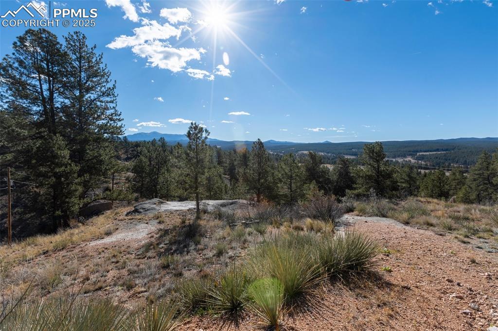 Image 39 of 50: View