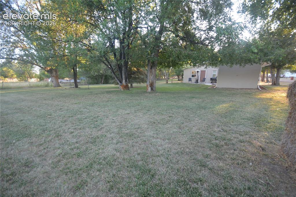 Image 31 of 48: Yard