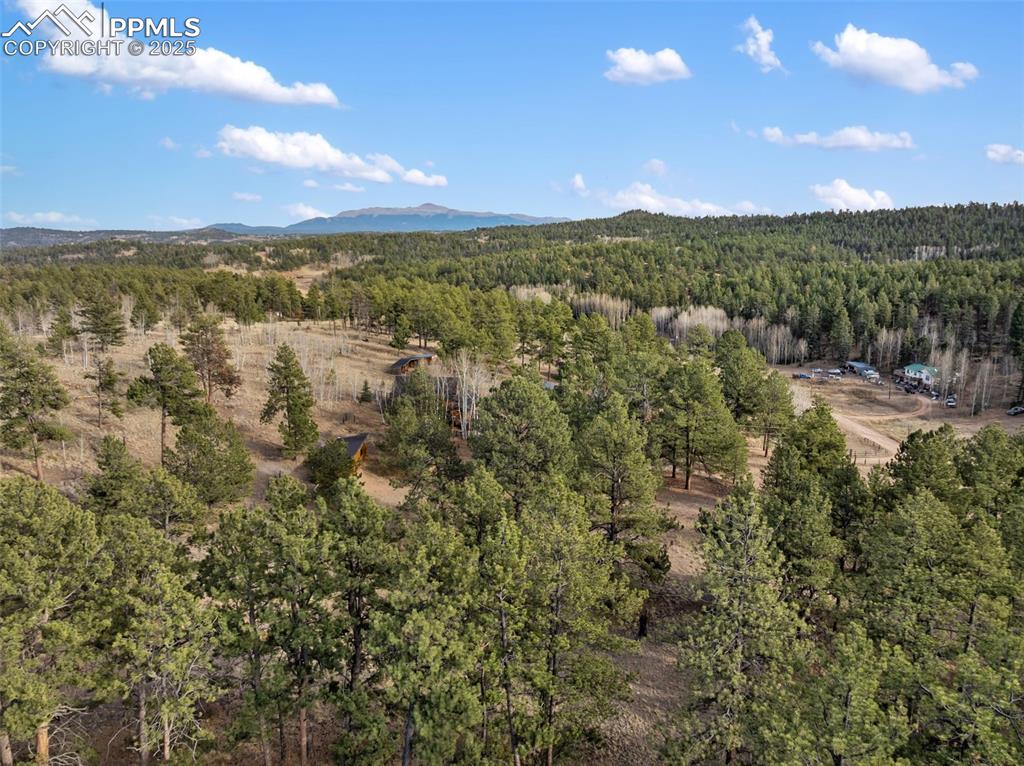 Image 16 of 30: View of mountain background featuring a forest