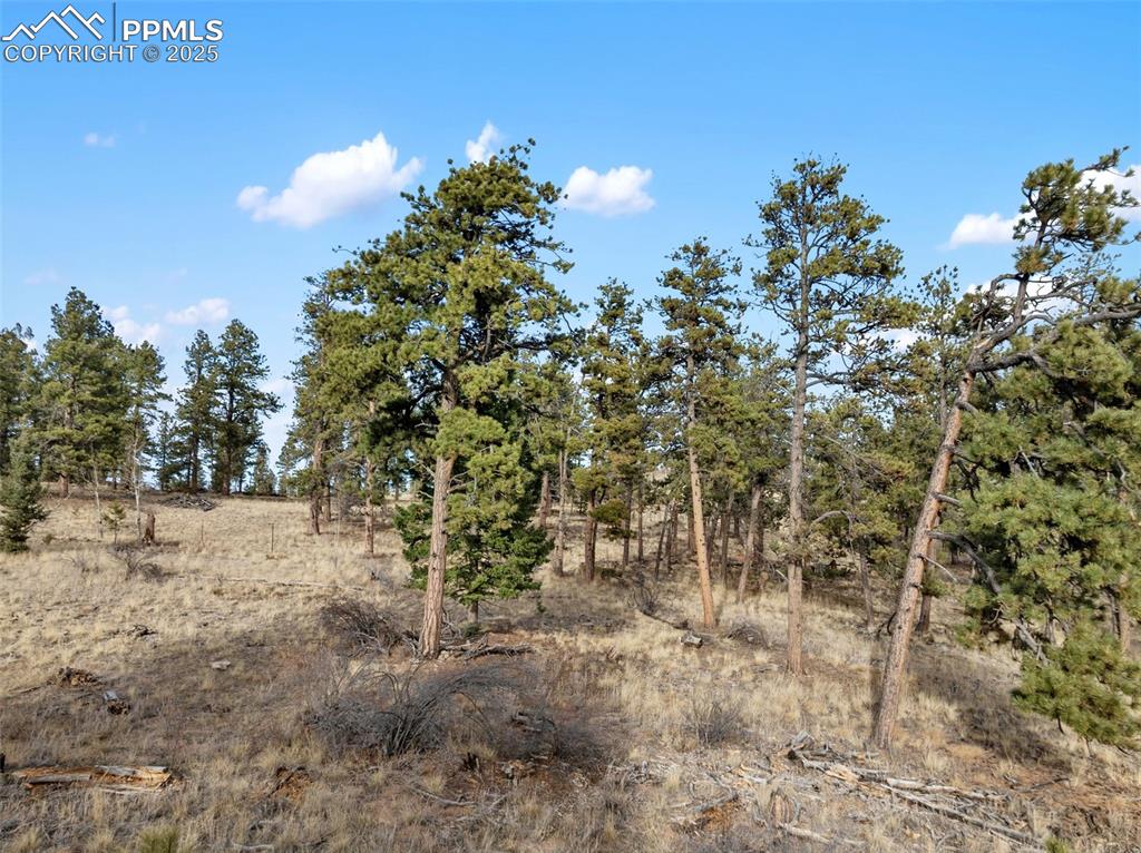 Image 18 of 30: View of nature