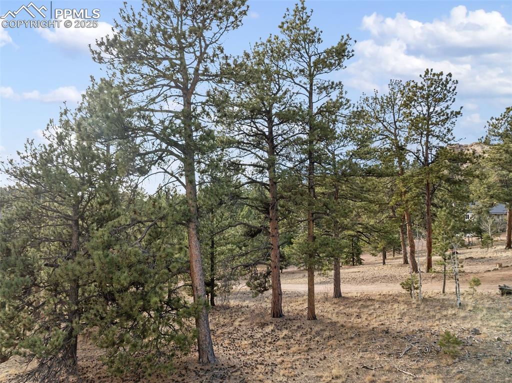 Image 19 of 30: View of undeveloped land