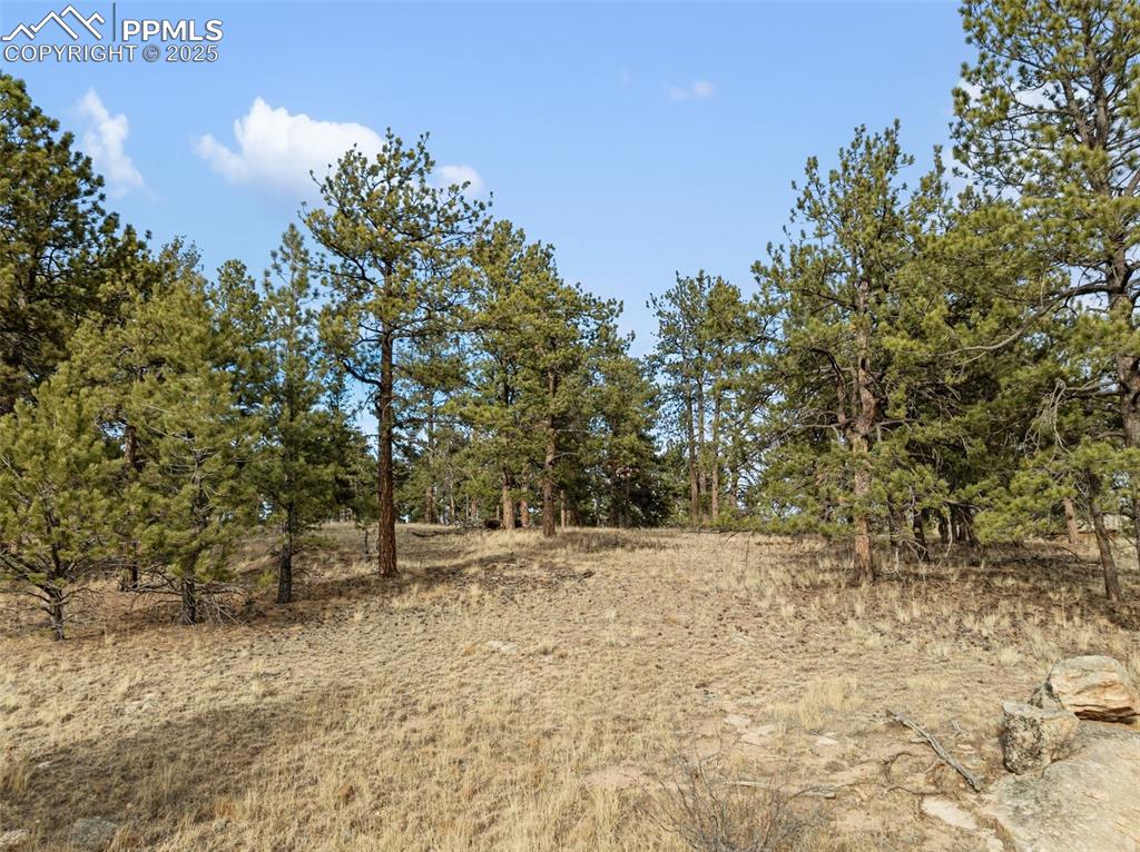 Image 22 of 30: View of nature