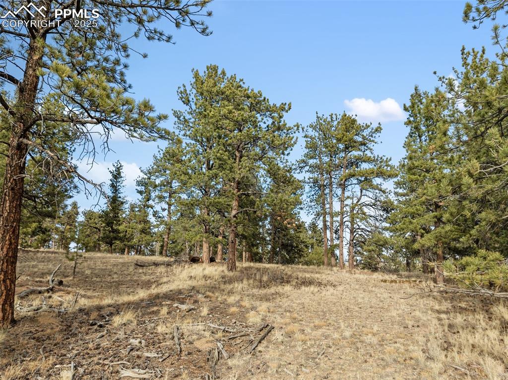 Image 23 of 30: View of undeveloped land
