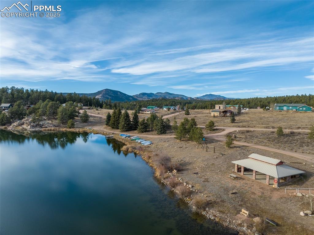 Image 28 of 30: Bird