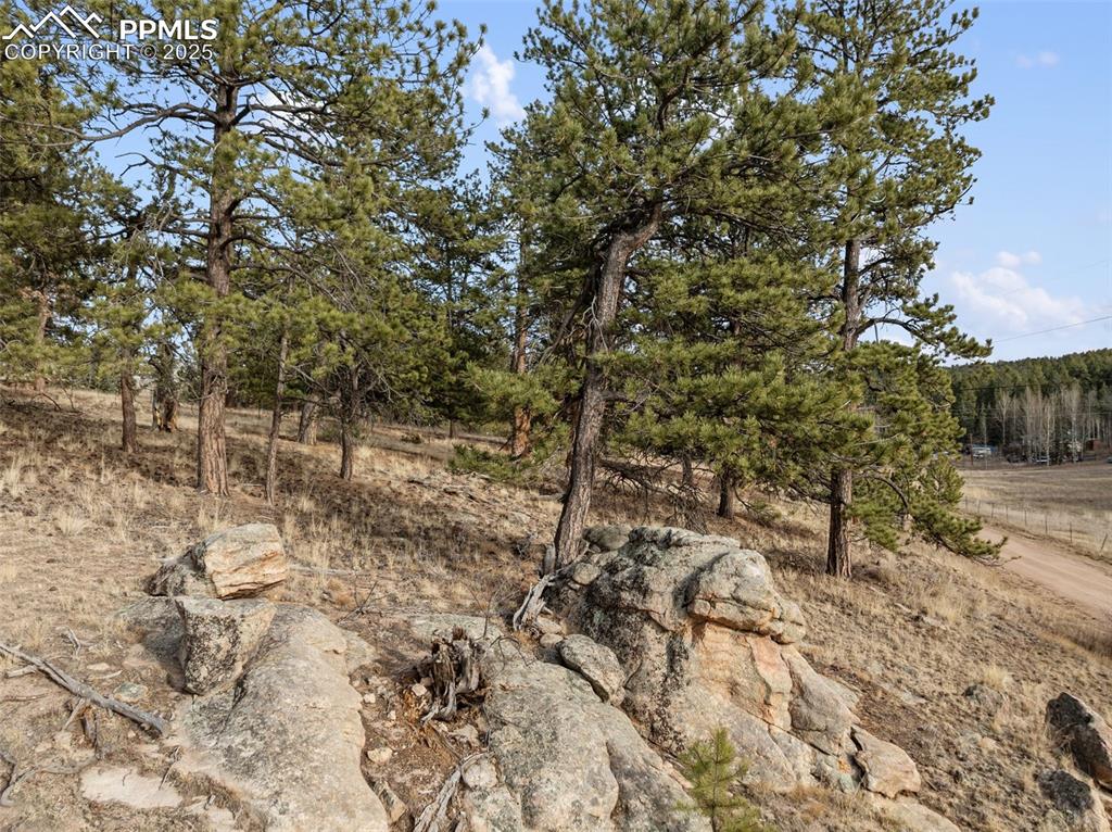 Image 5 of 30: View of nature