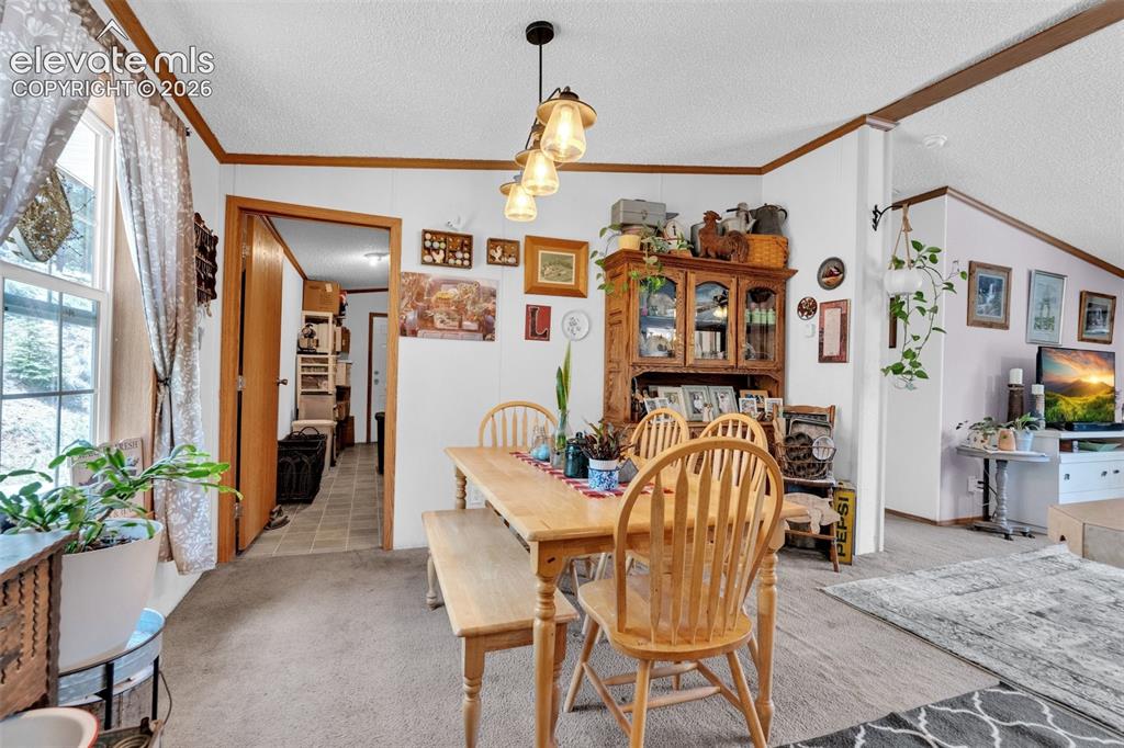 Image 10 of 36: Dining space featuring wood-finish trim, a three-light ceiling fixture, and