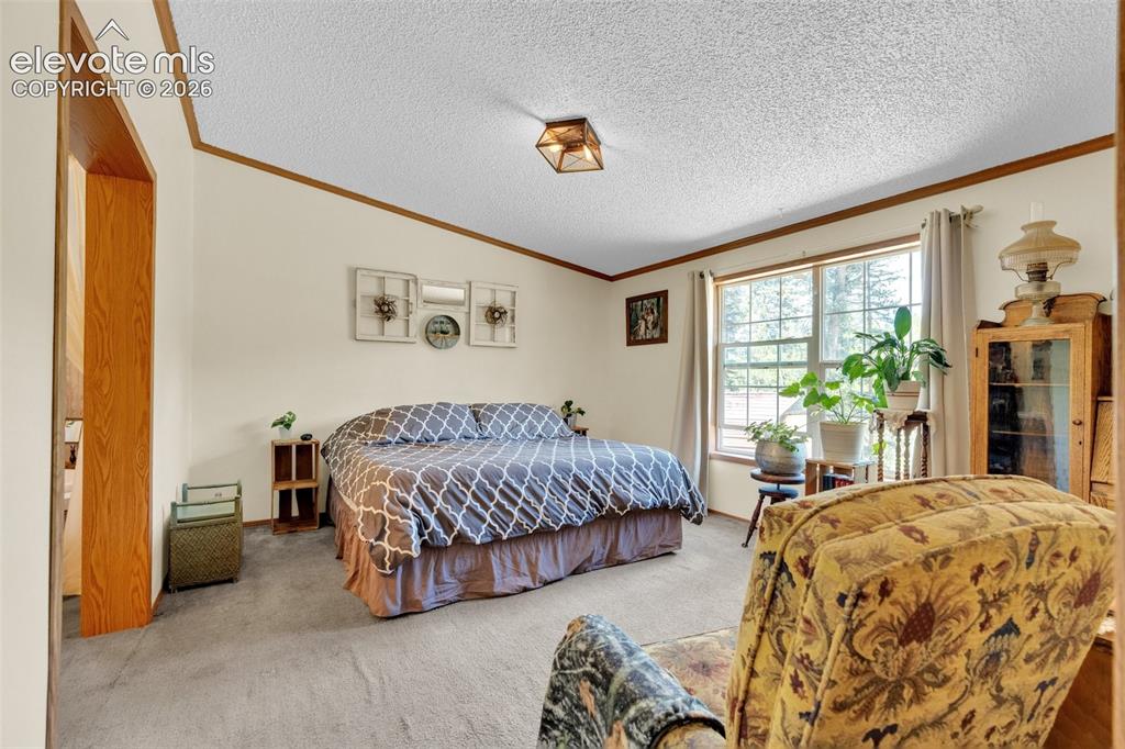 Image 17 of 36: Carpeted room featuring a large window with exterior views, light-toned wal