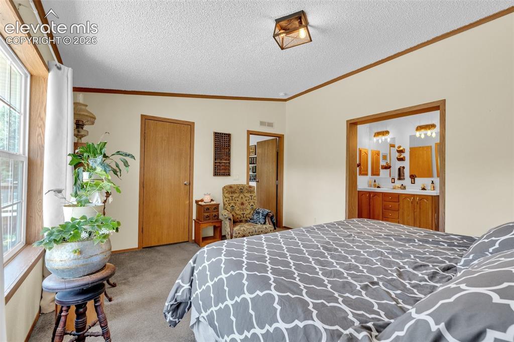 Image 18 of 36: Carpeted room with a ceiling-mounted light fixture and wood-trim windows