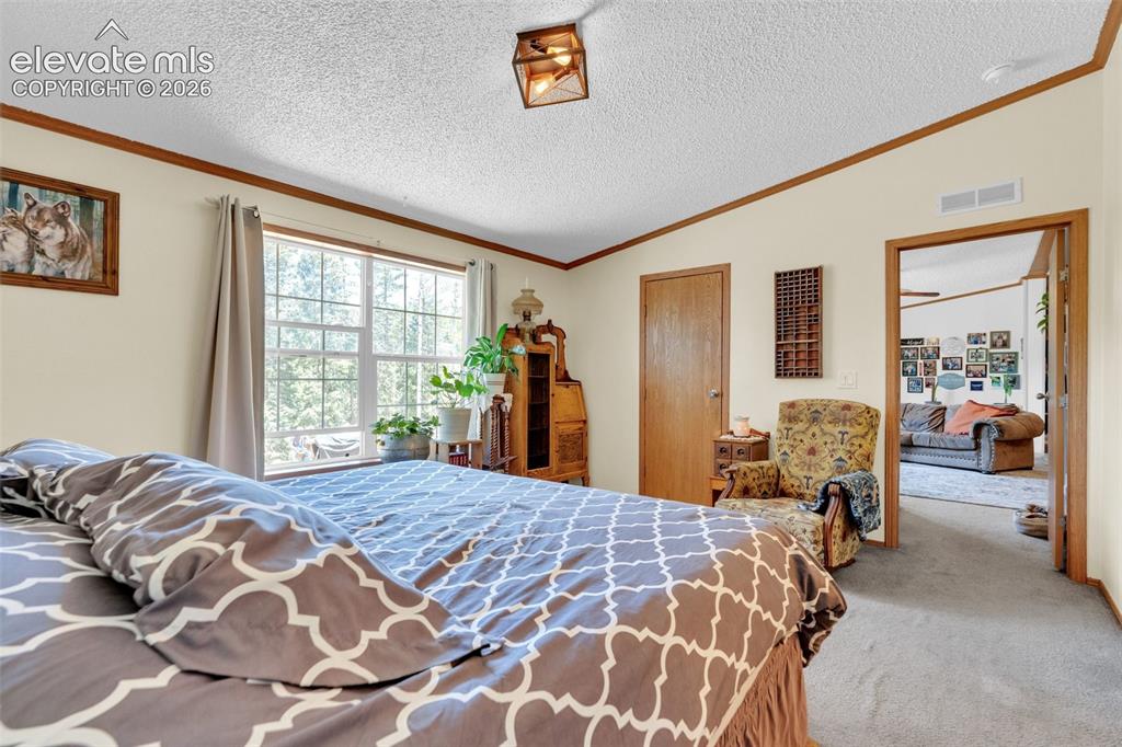 Image 19 of 36: Carpeted bedroom featuring a large multi-pane window, wood-finish trim, a r