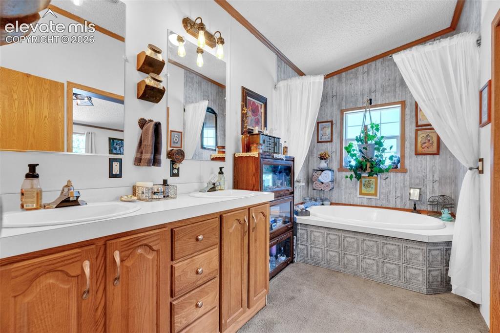 Image 21 of 36: Spacious bathroom featuring a double vanity with wood cabinetry, a large bu