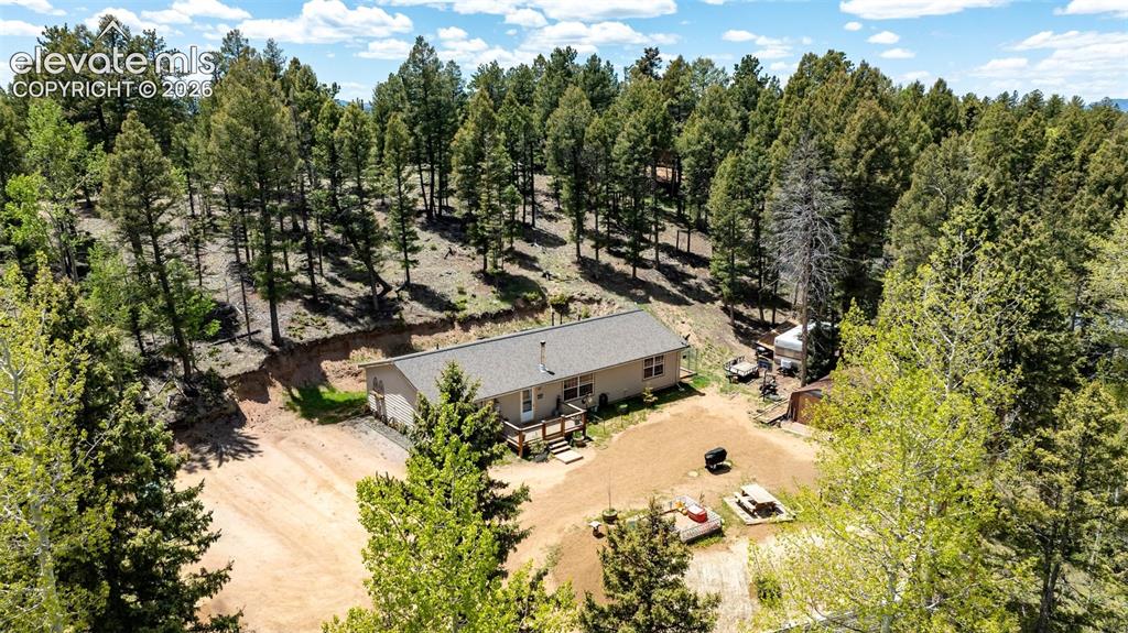 Image 29 of 36: Single-story residence set amidst a dense forest of mature trees